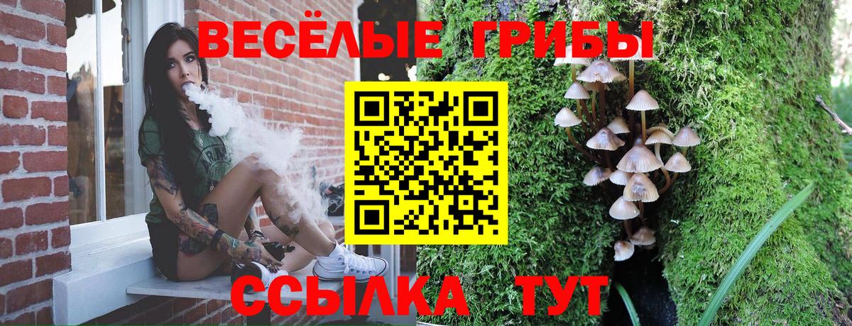 Истра  Псилоцибиновые грибы GOLDEN TEACHER  Вход с VPN  Псилоцибиновые грибы прущие грибы 